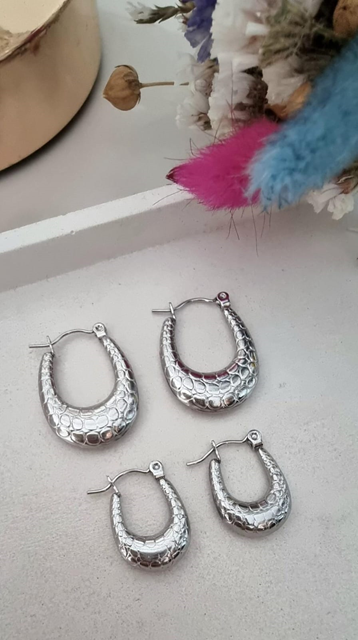 Argollas Nivela en Acero Blanco