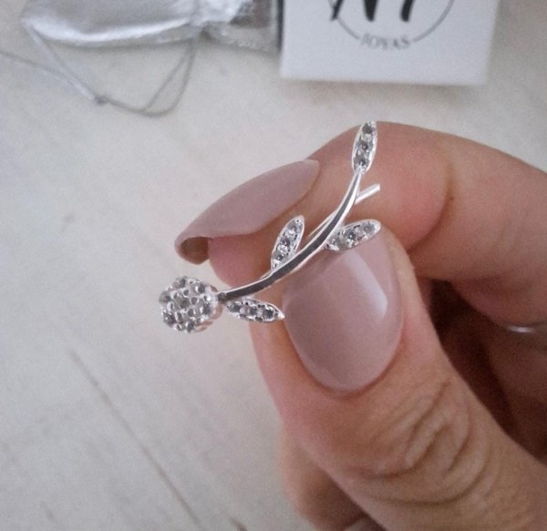 Aro Trepador Rosa - Plata 925