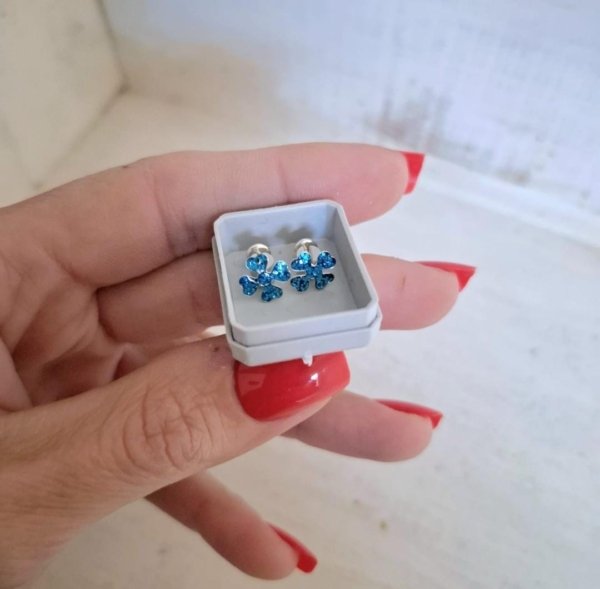 Abridores Flores Brillantes - Plata 925