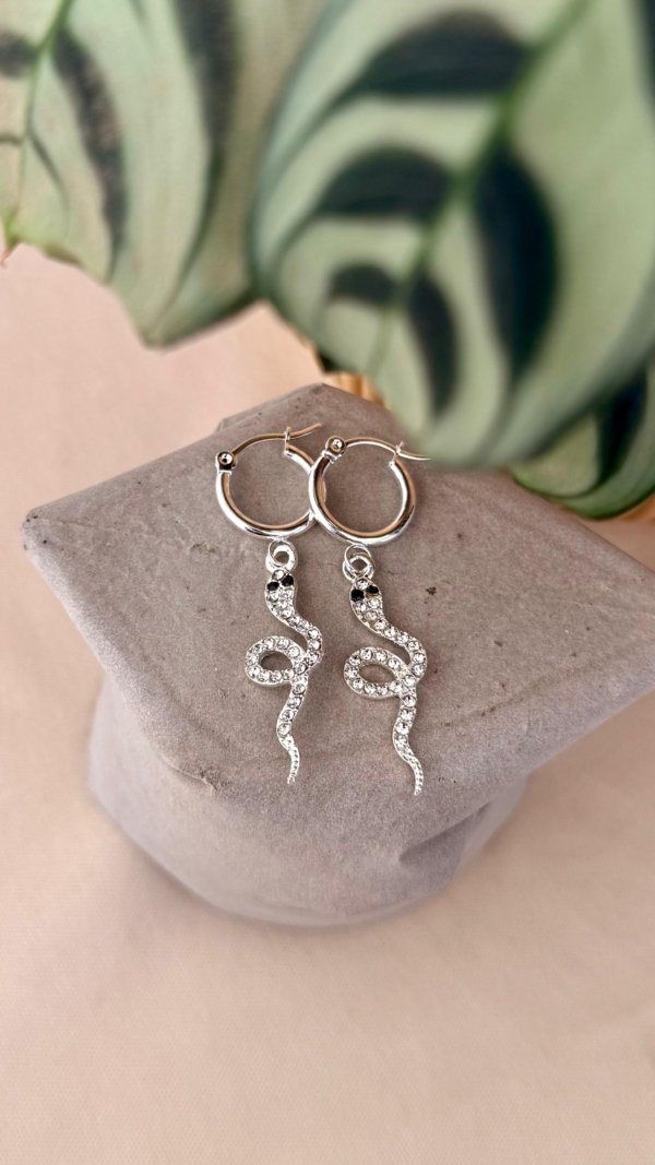 WhatsApp Image 2025-08-06 at 21.06.20 Argollas Serpientes con brillo-Acero Blanco